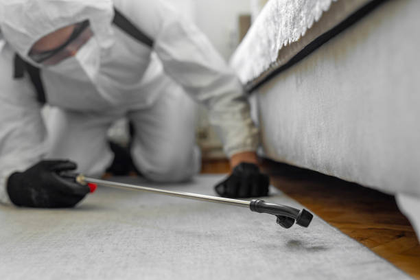 Professional Cockroach Control technician working in Stow, OH